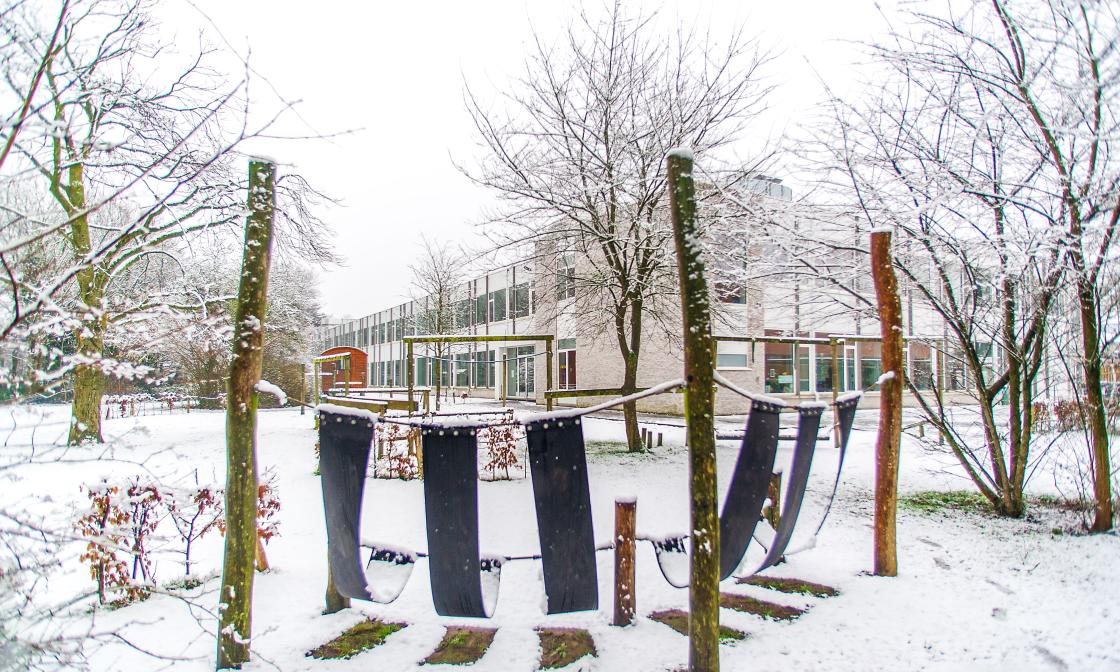 Groene omgeving
